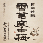 雪華寒中梅 [新潟]