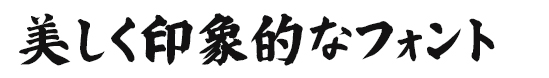 美しく印象的なフォント